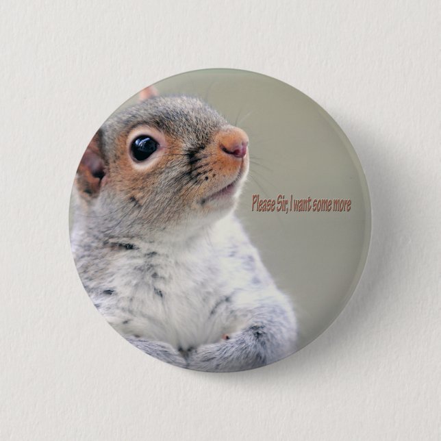 Oliver Twist Squirrel 6 Cm Round Badge (Front)