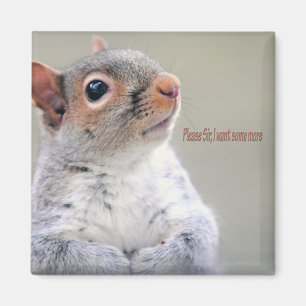 Oliver Twist Squirrel Magnet