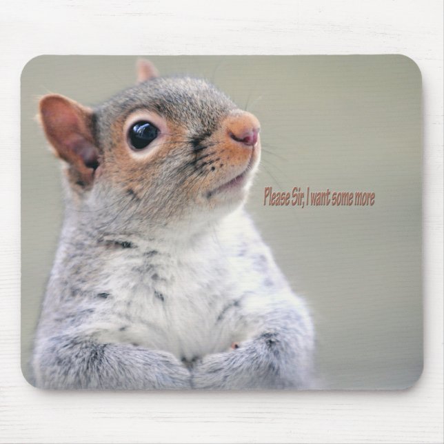 Oliver Twist Squirrel Mouse Mat (Front)