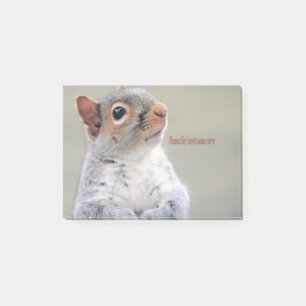 Oliver Twist Squirrel Post-it Notes