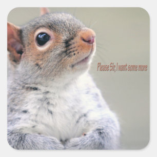 Oliver Twist Squirrel Square Sticker