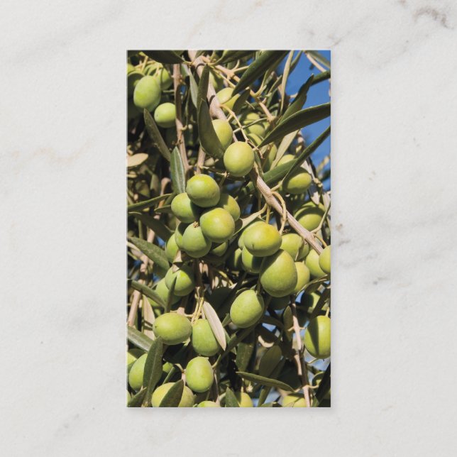 Olives business card (Front)