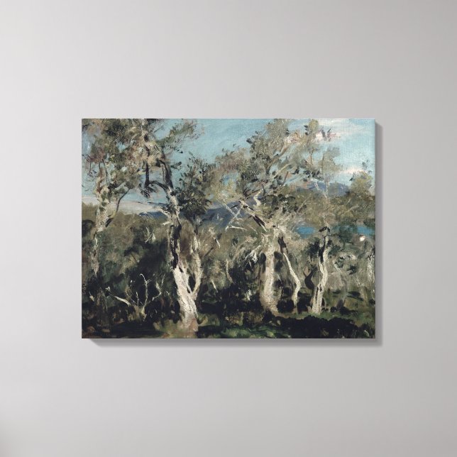 Olives, Corfu, 1912 Canvas Print (Front)