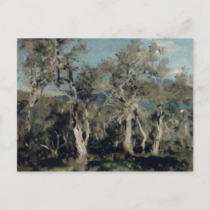 Olives, Corfu, 1912 Postcard