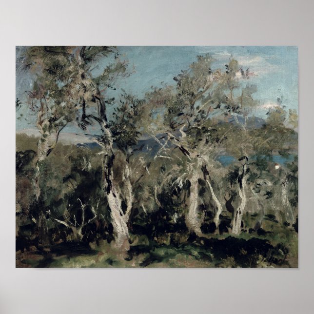 Olives, Corfu, 1912 Poster (Front)