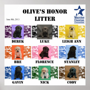 Olive's honour Litter Puppy Poster