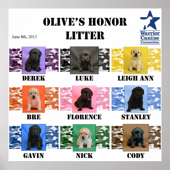 Olive's honour Litter Puppy Poster (Front)
