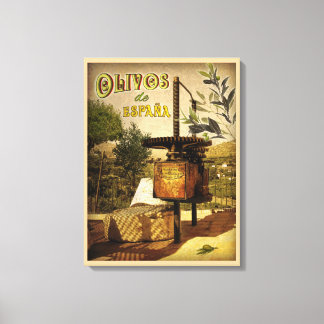 Olivos de España Canvas Print