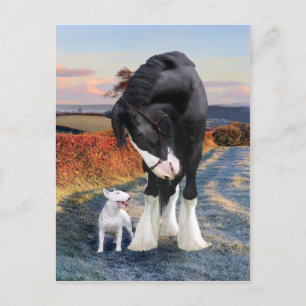 "Ollie & Blackbird" Postcard