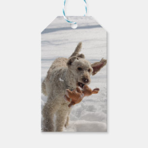 Ollie Gift Tags