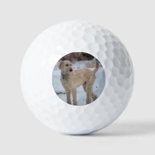 Ollie Golf Balls