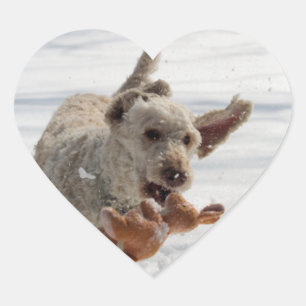 Ollie Heart Sticker
