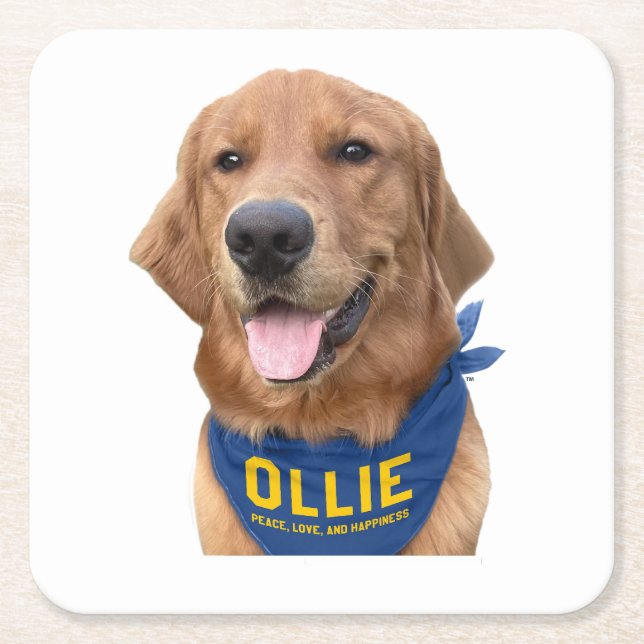 Ollie the Lucky Dog Photo Coaster (Front)