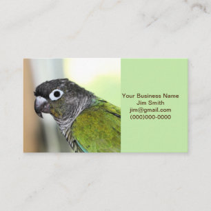 Ollie wallie business card