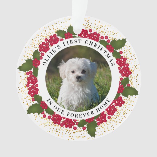 Ollie's First Forever Home Christmas Ornament (Front)