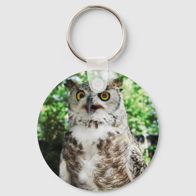 " OLLY " THE OWL KEYRING (Front)