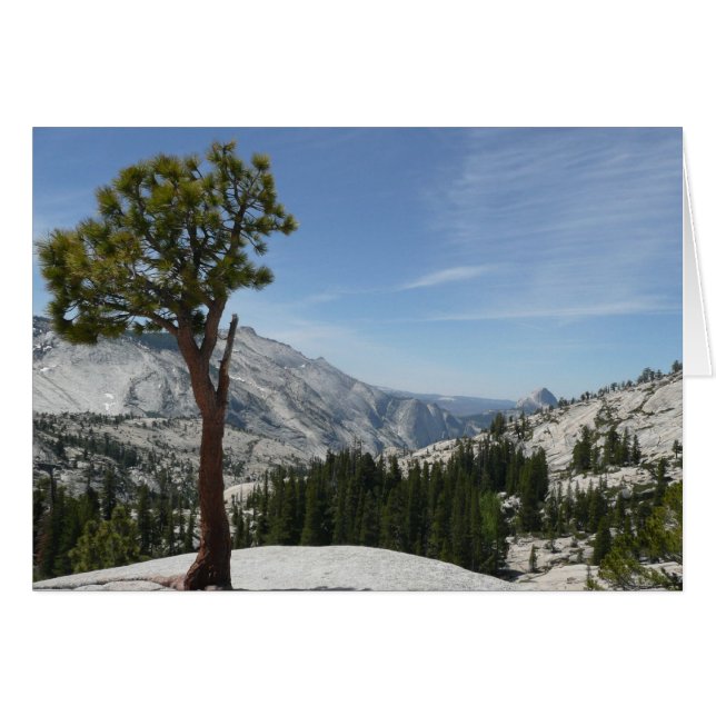 Olmsted Point I at Yosemite National Park (Front Horizontal)