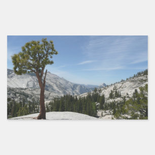 Olmsted Point I at Yosemite National Park Rectangular Sticker