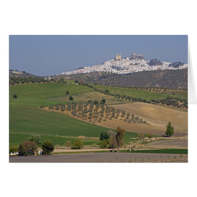 Olvera, Andalusia, Spain (Front Horizontal)