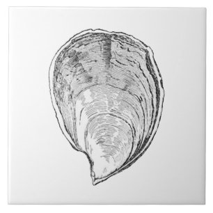 Olympia Oyster Illustration Tile