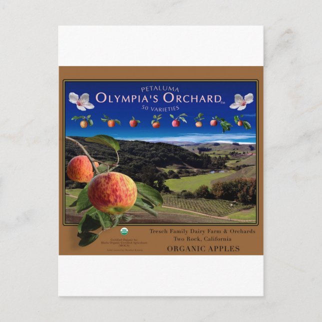 Olympia's Orchard Postcard (Front)