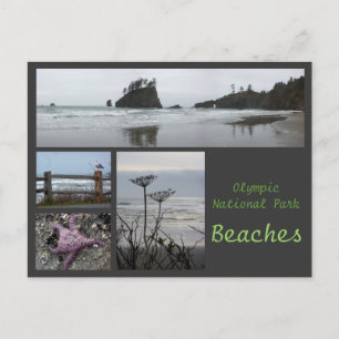 Olympic N.P. (Beaches 2) Postcard