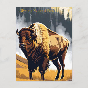 Olympic National Park Bison Buffalo Watercolor Postcard