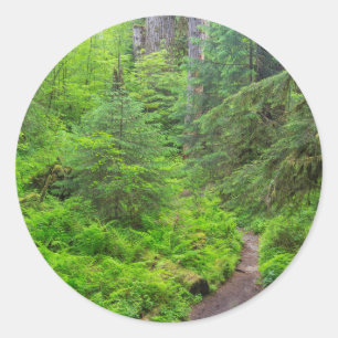 Olympic National Park, Forest trail Classic Round Sticker