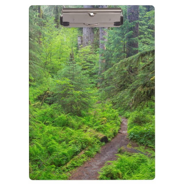 Olympic National Park, Forest trail Clipboard (Front)