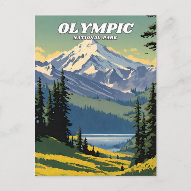 Olympic National Park illustration retro Postcard (Front)