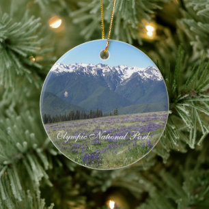 Olympic National Park Photo Ceramic Tree Decoration