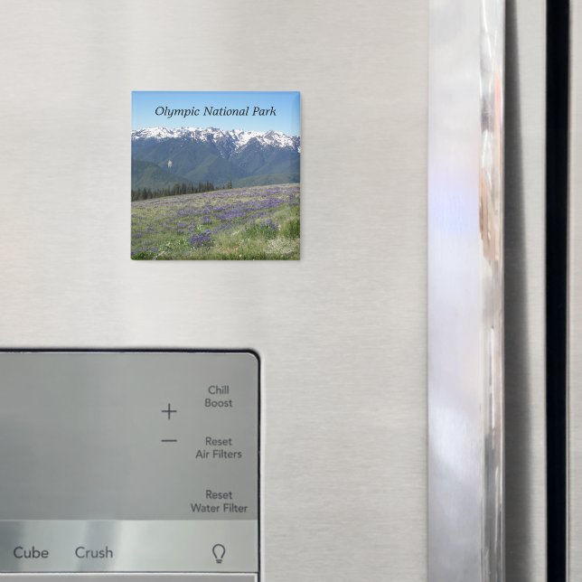 Olympic National Park Photo Magnet (In Situ (Fridge))