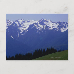 Olympic National Park Postcard