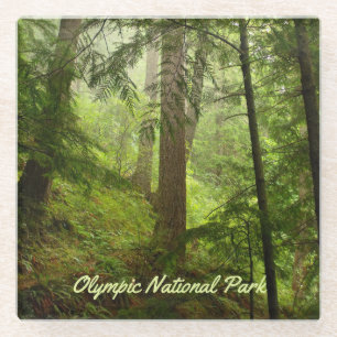 Olympic National Park Rainforest Photo Glass Coaster
