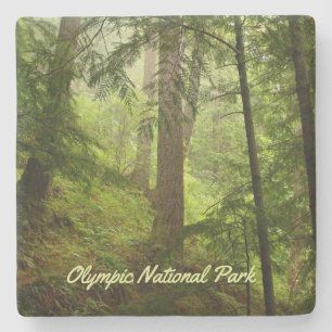 Olympic National Park Rainforest Photo Stone Coaster