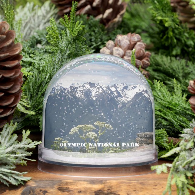 Olympic National Park Travel Photo Snowglobe (Winter)
