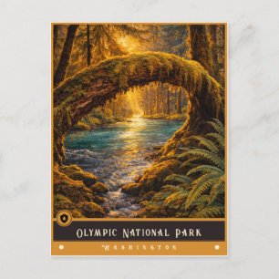 Olympic National Park Vintage Postcard