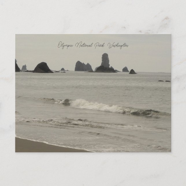 Olympic National Park Washington Beach Postcard (Front)