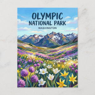 Olympic National Park Washington Postcard