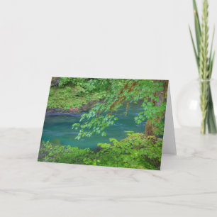 Olympic National Park Washington State Card