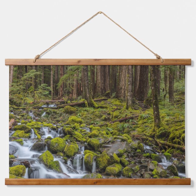Olympic National Park, Washington State Hanging Tapestry (Front)