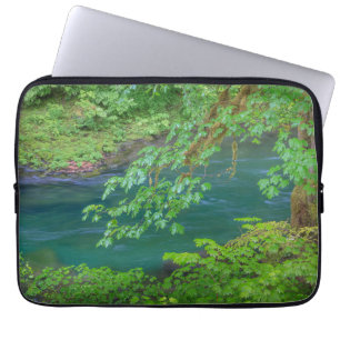 Olympic National Park Washington State Laptop Sleeve