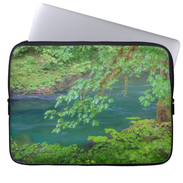 Olympic National Park Washington State Laptop Sleeve (Front)