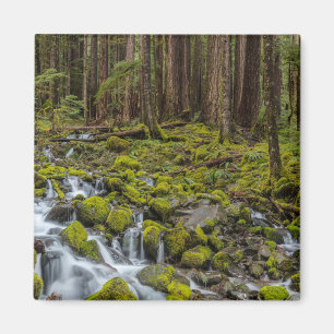 Olympic National Park, Washington State Magnet