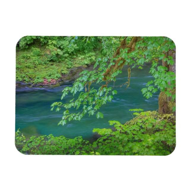 Olympic National Park Washington State Magnet (Horizontal)