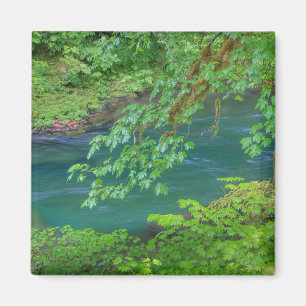 Olympic National Park Washington State Magnet