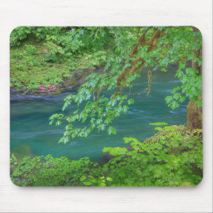 Olympic National Park Washington State Mouse Mat
