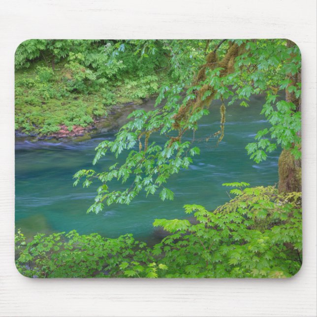 Olympic National Park Washington State Mouse Mat (Front)