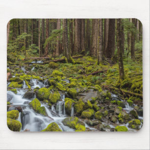 Olympic National Park, Washington State Mouse Mat