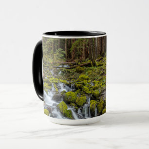 Olympic National Park, Washington State Mug